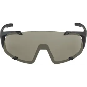 Okulary rowerowe ALPINA Hawkeye Q-Lite
