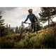 Rama MTB DARTMOOR Rocbird Mullet