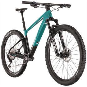 Rower MTB FOCUS Raven 8.8