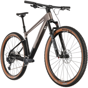 Rower MTB FOCUS Raven 8.9