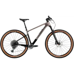 Rower MTB FOCUS Raven 8.9