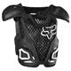 Buzer FOX R3