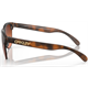 Okulary rowerowe OAKLEY Frogskins Lite PRIZM Brown Gradient