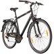 Rower trekkingowy PEGASUS Piazza