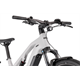 Rower elektryczny RAYMON Crossray