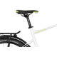 Rower elektryczny RAYMON CrossRay E 5.0 9S M350