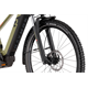 Rower elektryczny RAYMON CrossRay E 5.0 9S M350