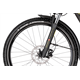 Rower elektryczny RAYMON CrossRay E 5.0 9S M350