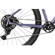 Rower MTB RAYMON Nayta Comp