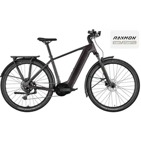Rower elektryczny RAYMON Tahona Comp