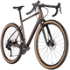 Rower gravel RAYMON Territ Pure