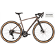 Rower gravel RAYMON Territ Pure