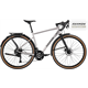 Rower gravel RAYMON Territ Pure Street