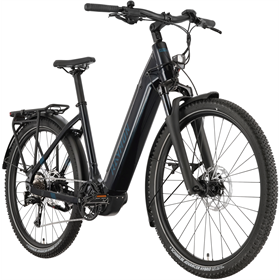 Rower elektryczny RAYMON Tourray