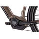 Rower elektryczny RAYMON TourRay E 5.0 Gent 9S M350