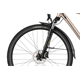 Rower trekkingowy RAYMON Zayn Comp