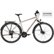 Rower trekkingowy RAYMON Zayn Comp