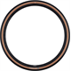 Opona SCHWALBE G-One RS PRO